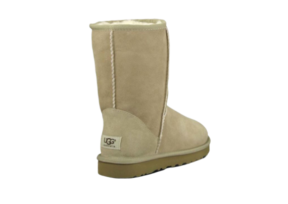 ⁦UGG CLASSIC SHORT מגפיי האגג דגם קלאסי קצר⁩ – תמונה ⁦6⁩