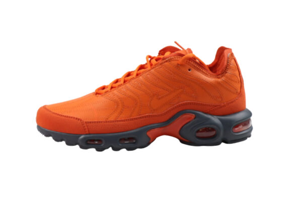 נעלי נייק-NIKE AIR MAX PLUS TN-FLAME